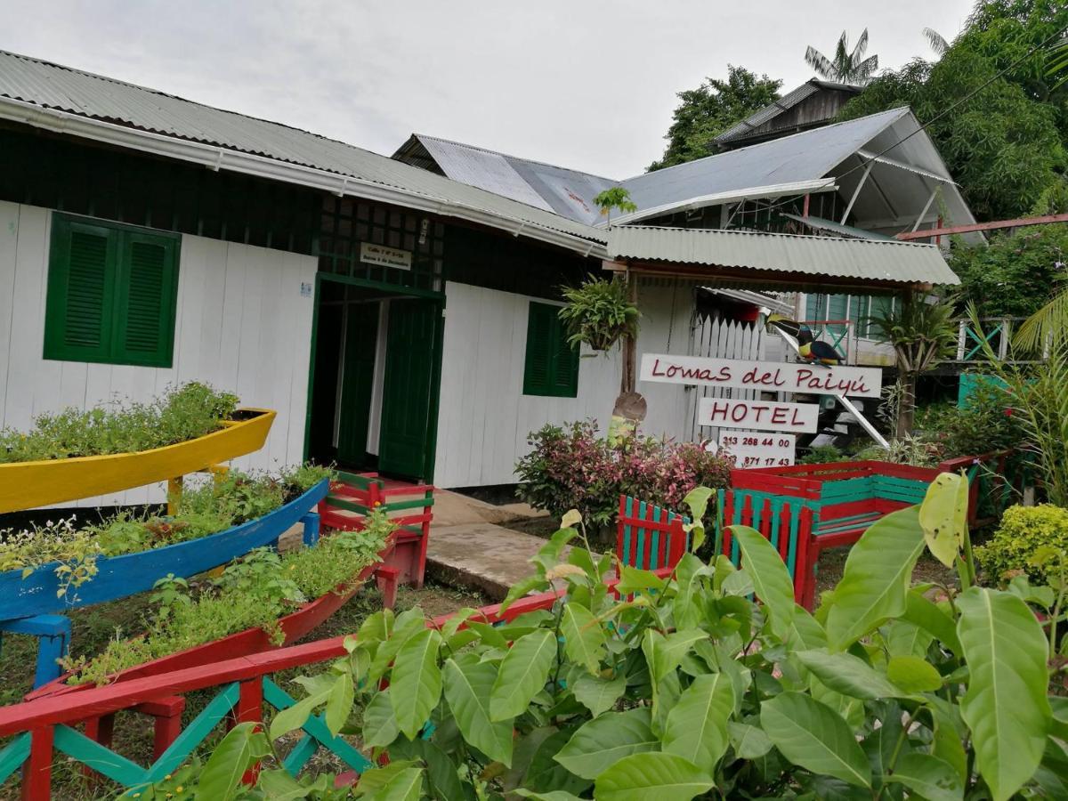 Hotel Lomas Del Paiyue Puerto Narino Exterior photo